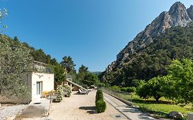 Domaine Saint Julien Buis-les-baronnies